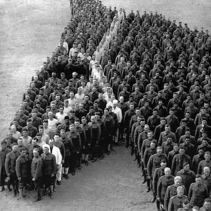 World War One Soldiers Paying Tribute To The Millions Of Donkeys, Horses, And Mules That Passed Away In The War