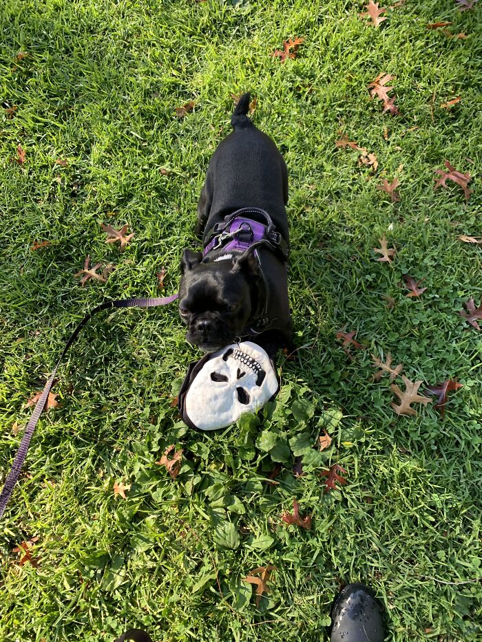 Prince Was So Proud Of His Find