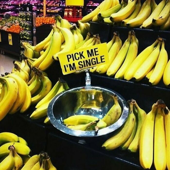 Nonsense-Pics-Memes-Emotionalclub