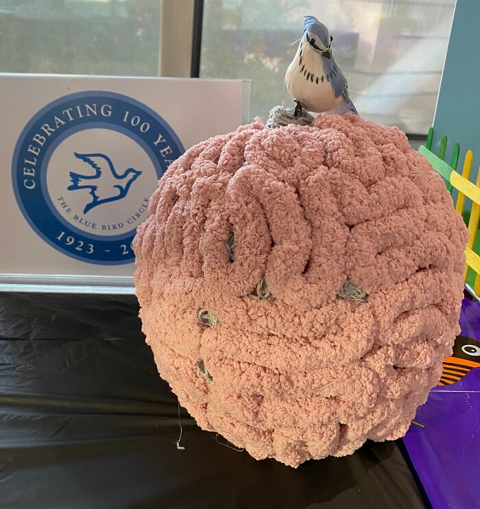 'the Brain' - Our Pediatric Neurology Clinic Was Represented In Our Contest By This Pumpkin That I Created!