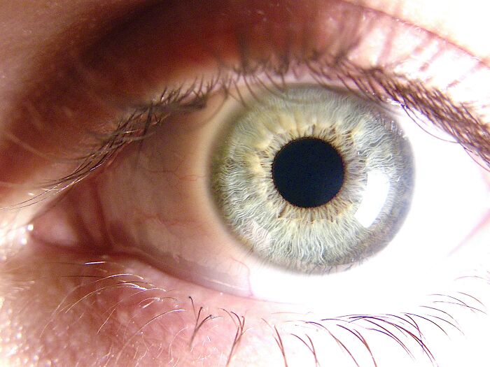 Eyeball Macro