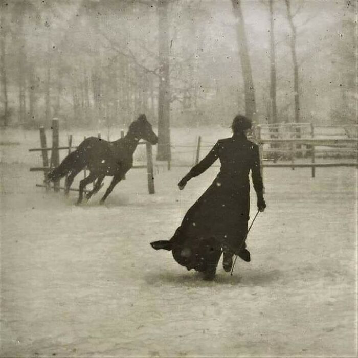 Horse Training By Félix Thiollier. Photo Taken In 1899