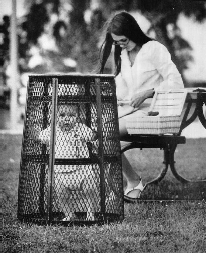 A Mother Uses A Trash Can To Contain Her Baby While She Crochets In The Park, 1969