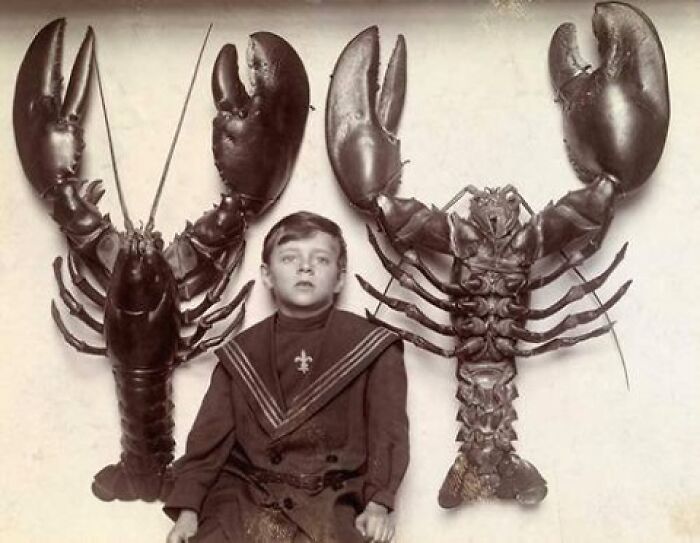A Boy Between Two Mounted Lobsters Caught Off The New Jersey Coast. This Photo Was Taken In 1916