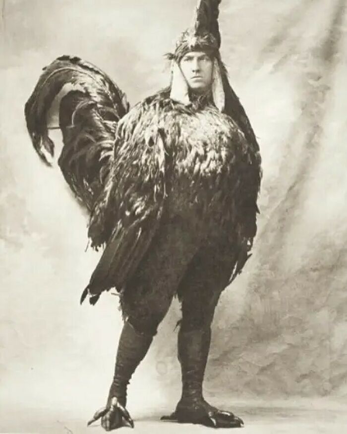 A Chicken Costume From The Early 20th Century