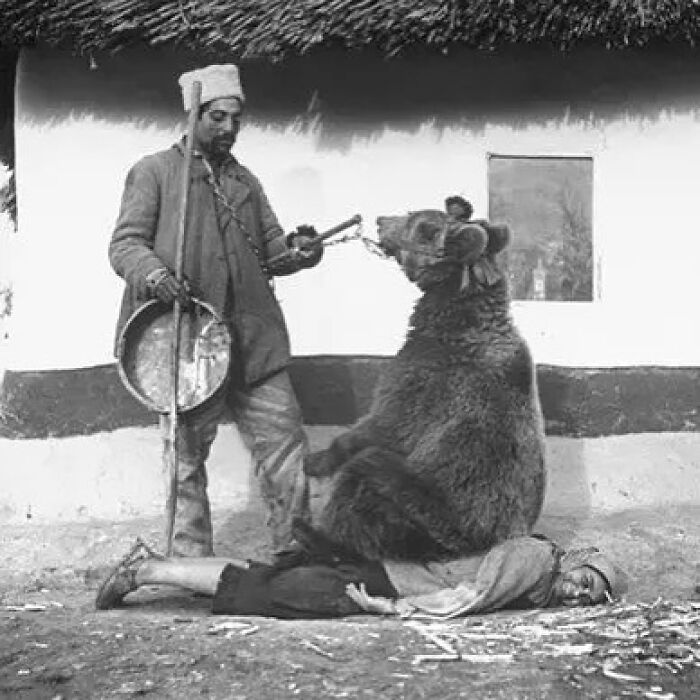 In Romania, Having A Bear Sit On Top Of You Was A Popular Back Pain Remedy In The 1940s