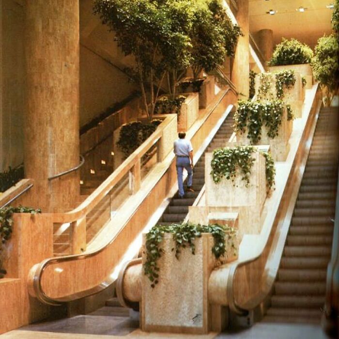 Centro comercial, 1981