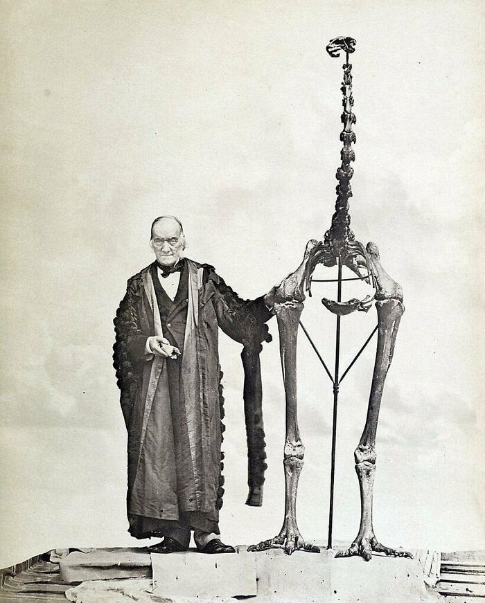 Sir Richard Owen (Left) Standing Next To A Moa Skeleton And Holding The First Bone Fragment Of A Moa Ever Found
