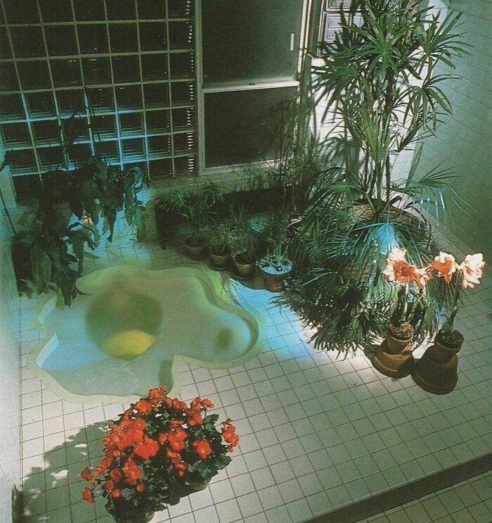 Glass Bricks, Plants And Fried Egg Shaped Bath, What More Do You Need! Bath Design - 1986