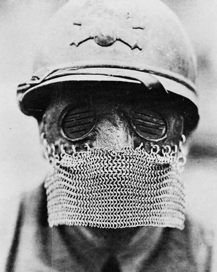 A British “Splatter Mask”, Made To Protect The Wearer From Shrapnel. This Photo Was Taken In October 1918