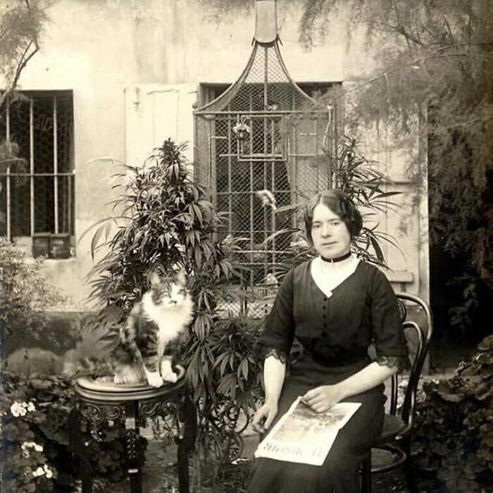  Una mujer parisina con su gato en su jardín de cannabis, 1910