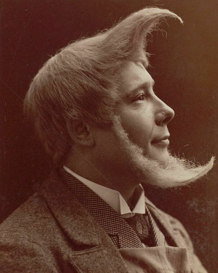  Retrato de un interesante peinado de 1894 