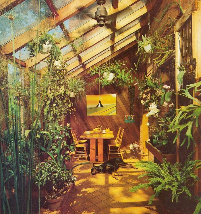 My 80s Conservatory Is Better Than Yours!