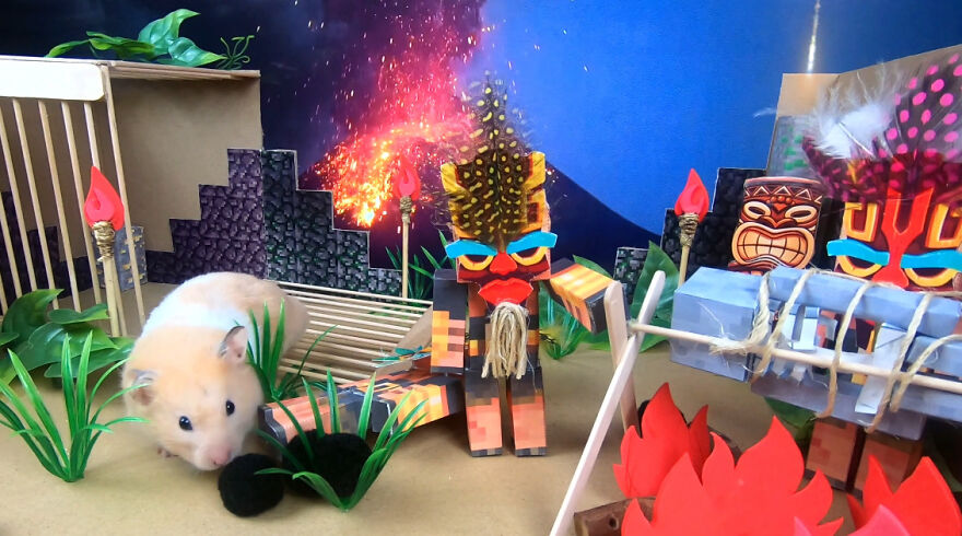 I Made A Video Of A Brave Hamster Escaping A Cannibal's Prison In An Amazing Obstacle Course Which Is Like The Pet Version Of Indiana Jones (12 Pics) I Made A Video Of A Brave Hamster Escaping A Cannibal's Prison In An Amazing Obstacle Course Which Is Like The Pet Version Of Indiana Jones (12 Pics)