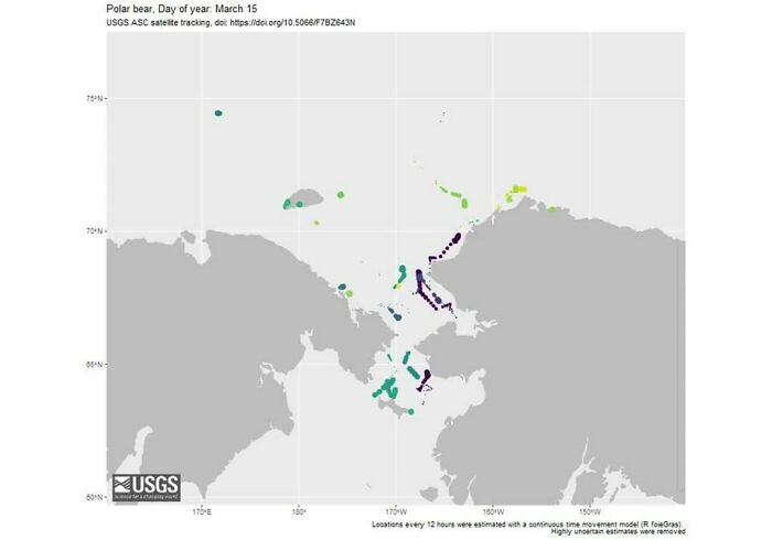 GPS Tracked Movement Of Polar Bears In The Chukchi Sea