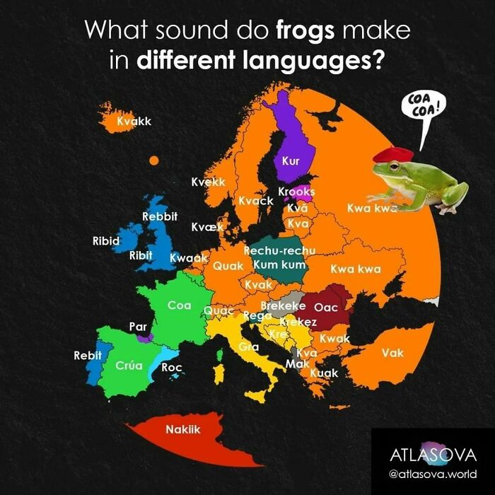 What Sound Do Frogs Make In Your Language?