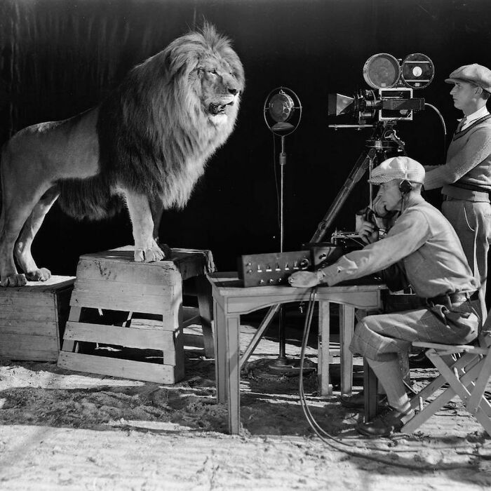A Cameraman And A Sound Technician Capturing The Iconic Metro-Goldwyn-Mayer Logo, 1928