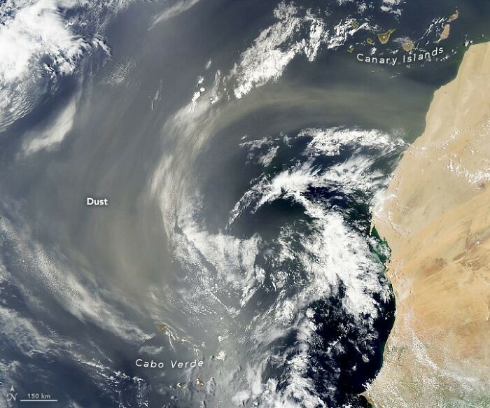A Swirl Of Dust Over The Atlantic Pulses Of Dust From The Sahara Desert Reached The Caribbean And Parts Of The United States In July
