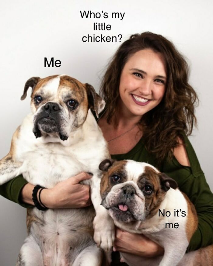 Ordinary-People-Memes