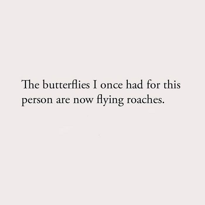 The butterflies I once had for this person are now flying roaches.
