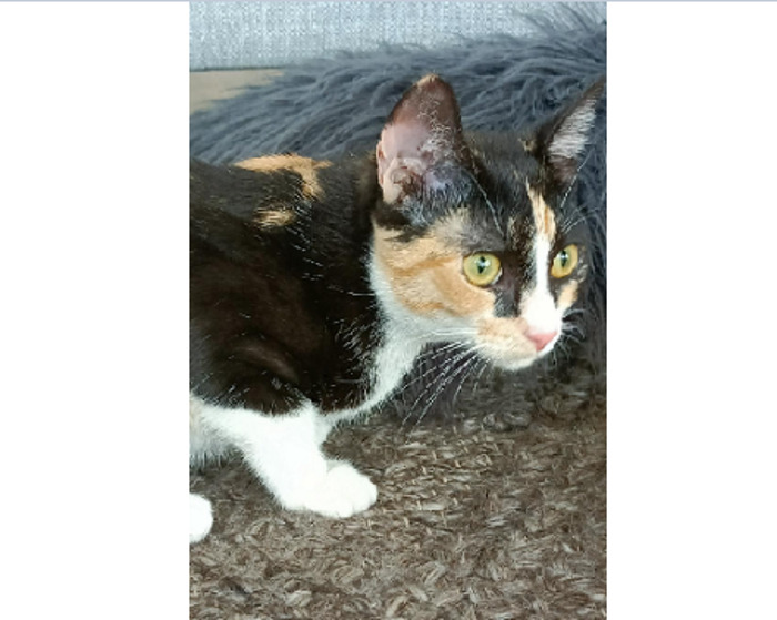 Hi, I'm Coco, I Will Jesrigushksbnil; Ikrfh Awirfhwi R Riiiiiiiiiiiiiiiiiiiiiiiiiiiiiiiiiiiiiiiiiiiiiiiiiiiiiiiiiiiiiiiii On The Kweiauhfdeboard