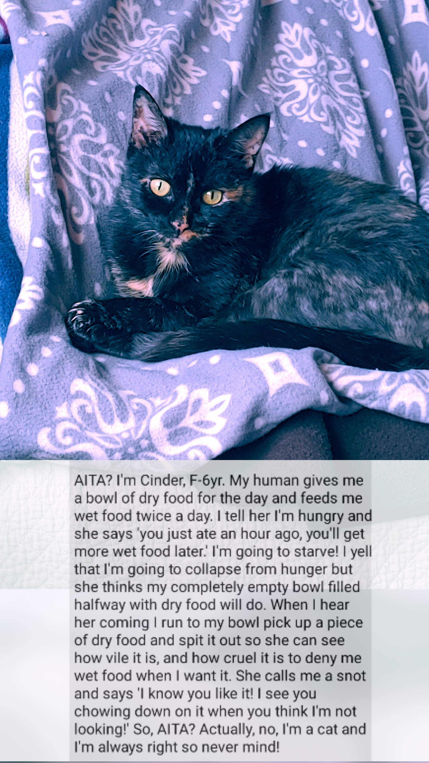 Create An ‘Aita’ Post For Your Pet