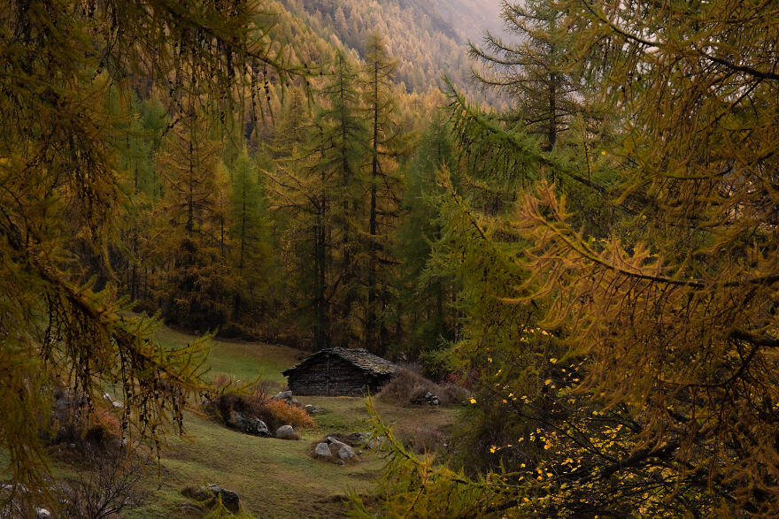 Shed, Tucked Away In The Middle Of The Larches, Val D'herens