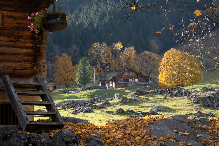 A 'Random' View During Swiss Autumn. You'll See Farms Like These All Over The Country!