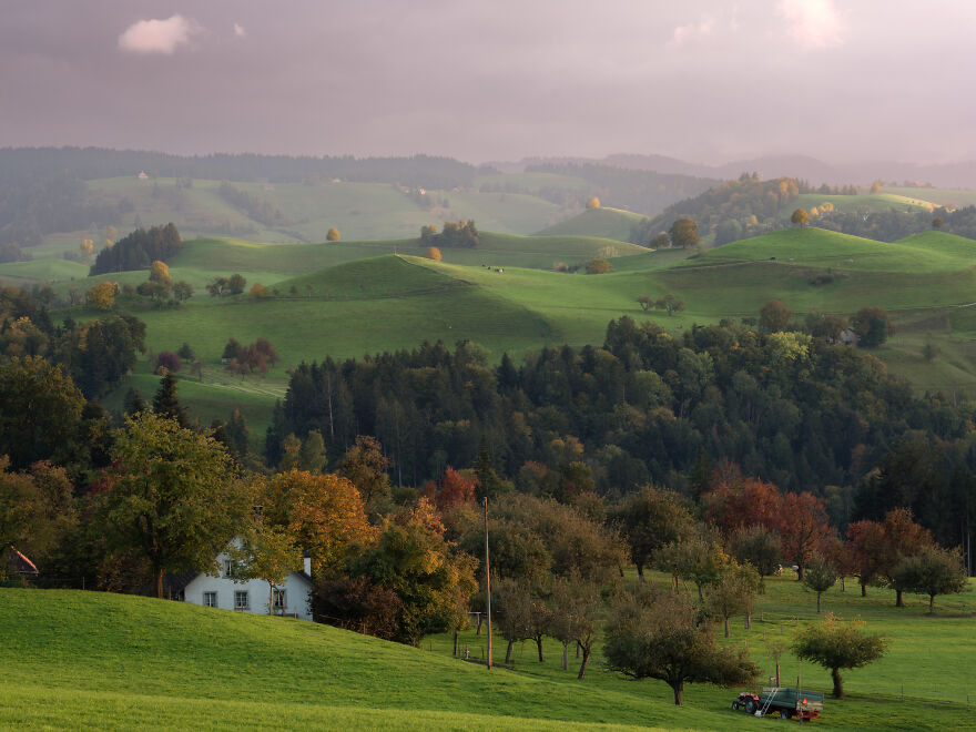 Rolling Green Hills Near Zug