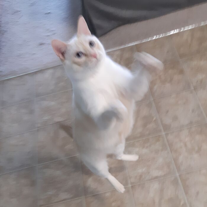 Sunny-Professional Dancer. 3 Years Modern Dance, 2 Years Tap