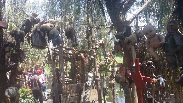 dolls hanging on ropes in trees