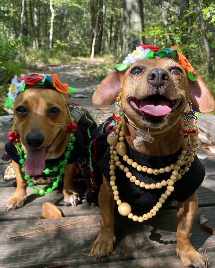 Frida And Khalo As Frida Khalo X 2