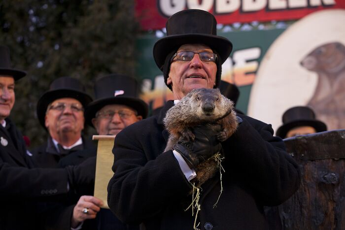 A Groundhog Predicts How Long Winter Will Last In The United States