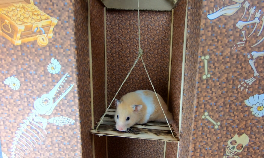 I Made A Video Of A Brave Hamster Escaping A Cannibal's Prison In An Amazing Obstacle Course Which Is Like The Pet Version Of Indiana Jones (12 Pics) I Made A Video Of A Brave Hamster Escaping A Cannibal's Prison In An Amazing Obstacle Course Which Is Like The Pet Version Of Indiana Jones (12 Pics)