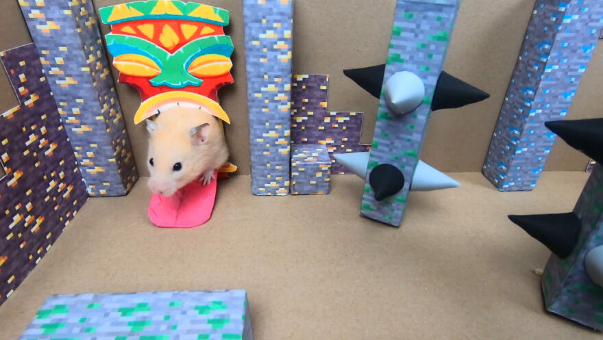 I Made A Video Of A Brave Hamster Escaping A Cannibal's Prison In An Amazing Obstacle Course Which Is Like The Pet Version Of Indiana Jones (12 Pics) I Made A Video Of A Brave Hamster Escaping A Cannibal's Prison In An Amazing Obstacle Course Which Is Like The Pet Version Of Indiana Jones (12 Pics)