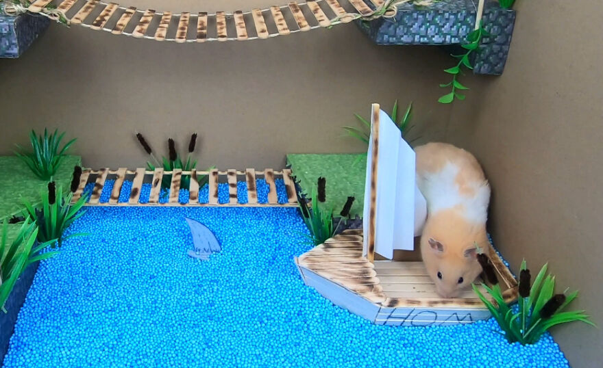 I Made A Video Of A Brave Hamster Escaping A Cannibal's Prison In An Amazing Obstacle Course Which Is Like The Pet Version Of Indiana Jones (12 Pics)