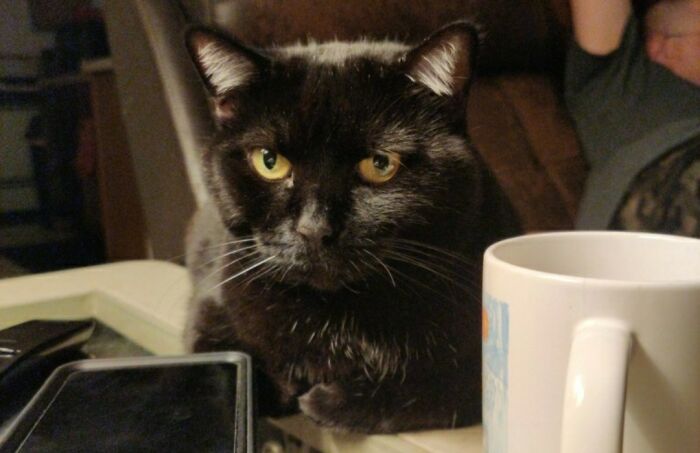 Looking Quite Professional Today