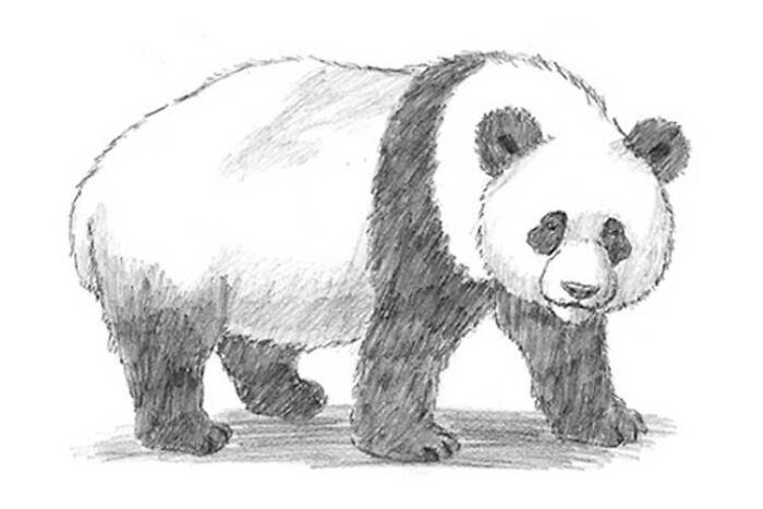 Example Panda