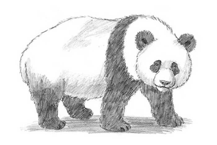 Example Panda