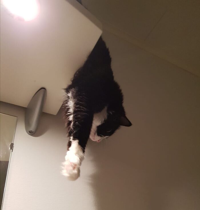 Spilling Over The Edge!