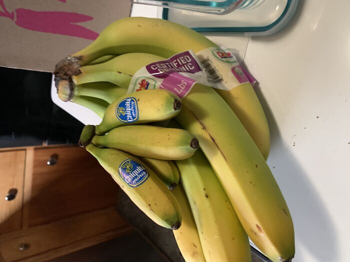Tiny Bananas (Bananas For Scale)