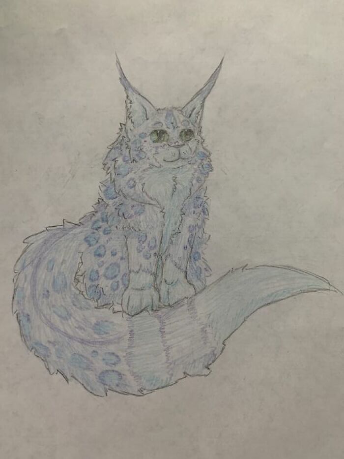 A Fluffy Blue Cat