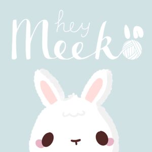 Hey Meeko