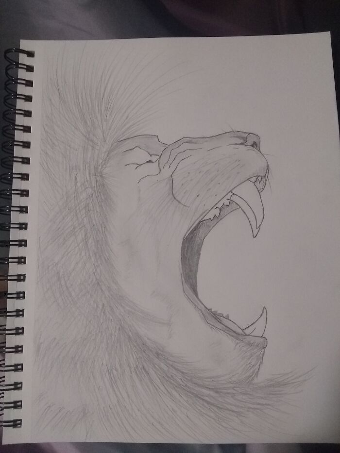 A Roaring Lion That I Sketched Awhile Ago