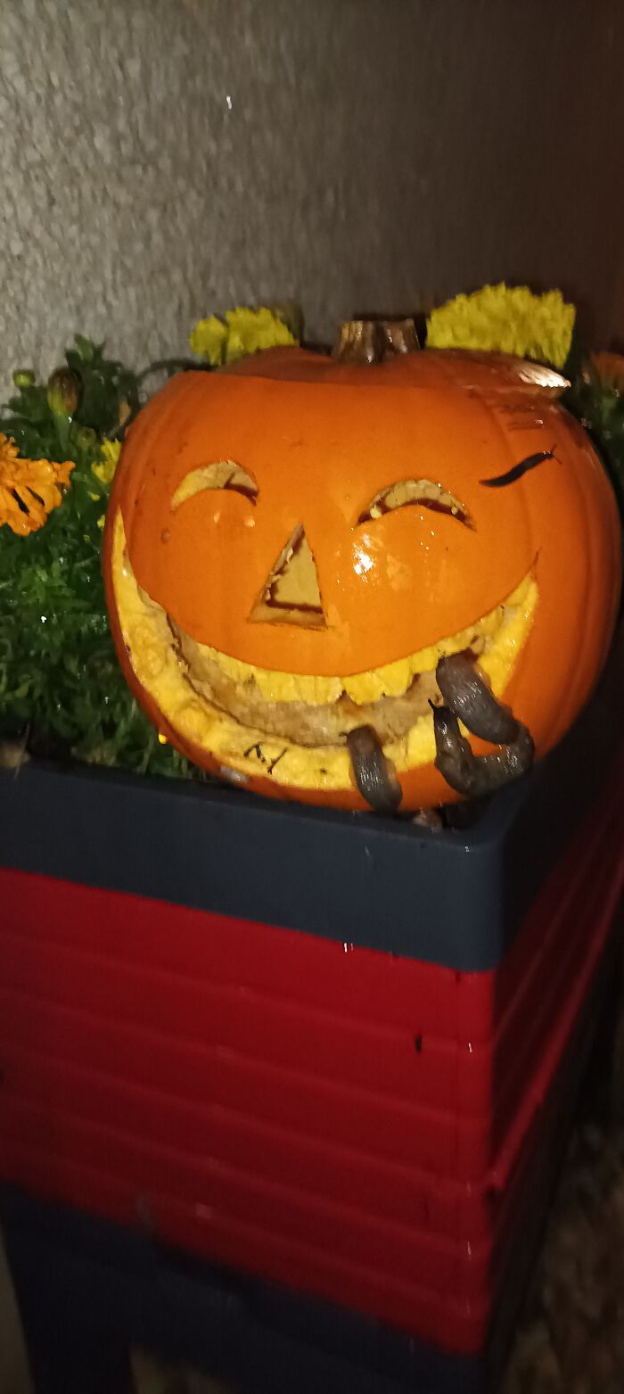 After 24 Hours Of Being Outside, My Pumpkin List It's Bottom Teeth .. I Hate Slughs