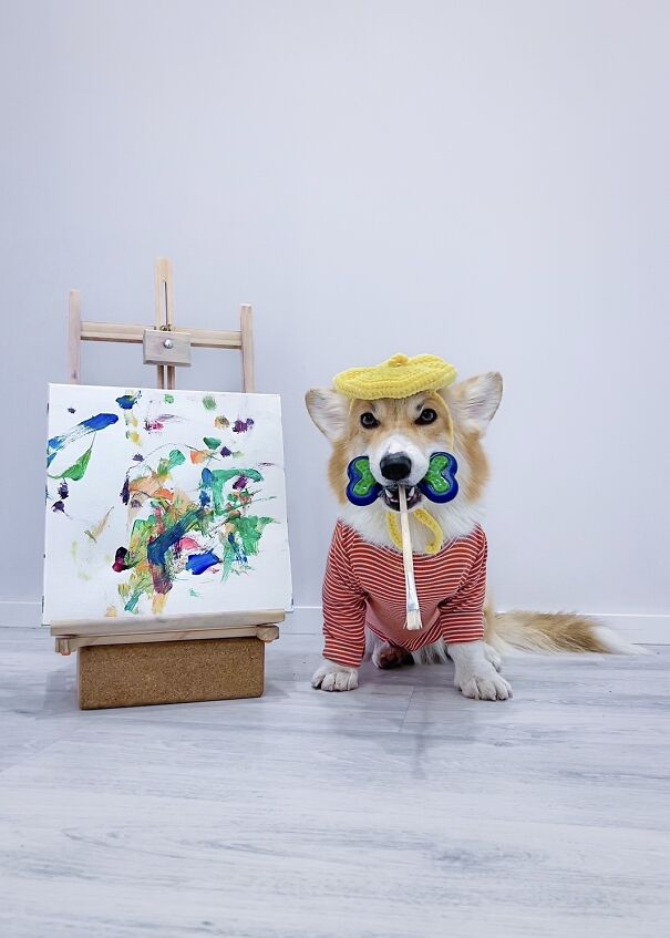 Meet Kobis - A Corgi That Knows Over 60 Tricks Including Riding A Skateboard, Painting, Playing Basketball And More Meet Kobis - A Corgi That Knows Over 60 Tricks Including Riding A Skateboard, Painting, Playing Basketball And More