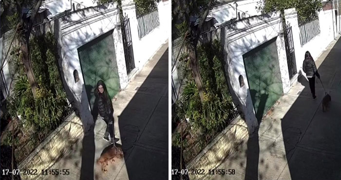 After Being Thrown Away By A Presumed Owner, This Dog Has Been Given A Second Shot At Life With The Help Of Local People After Being Thrown Away By A Presumed Owner, This Dog Has Been Given A Second Shot At Life With The Help Of Local People