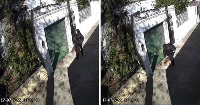 After Being Thrown Away By A Presumed Owner, This Dog Has Been Given A Second Shot At Life With The Help Of Local People After Being Thrown Away By A Presumed Owner, This Dog Has Been Given A Second Shot At Life With The Help Of Local People