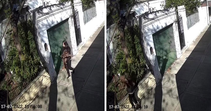 After Being Thrown Away By A Presumed Owner, This Dog Has Been Given A Second Shot At Life With The Help Of Local People After Being Thrown Away By A Presumed Owner, This Dog Has Been Given A Second Shot At Life With The Help Of Local People