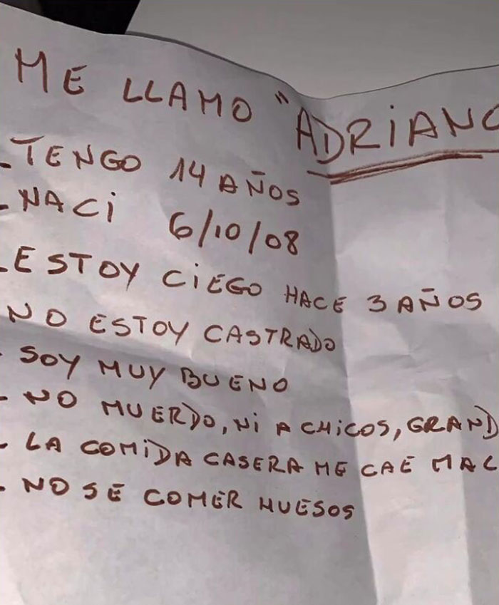 After Being Thrown Away By A Presumed Owner, This Dog Has Been Given A Second Shot At Life With The Help Of Local People After Being Thrown Away By A Presumed Owner, This Dog Has Been Given A Second Shot At Life With The Help Of Local People